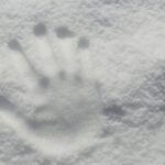 featured-image